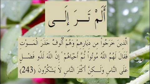 القران الكريم سورة البقرة الاية  243