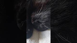 Download Lagu Close Up Bini Sleepini ❤️ MP3