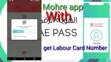 Mohre app open with UAE PASS how to get labour card in easy way