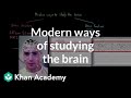 Brain Imaging Techniques Quiz