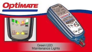 OptiMate (EN): Maintenance Mode - Green Flashing Blinking Lights?