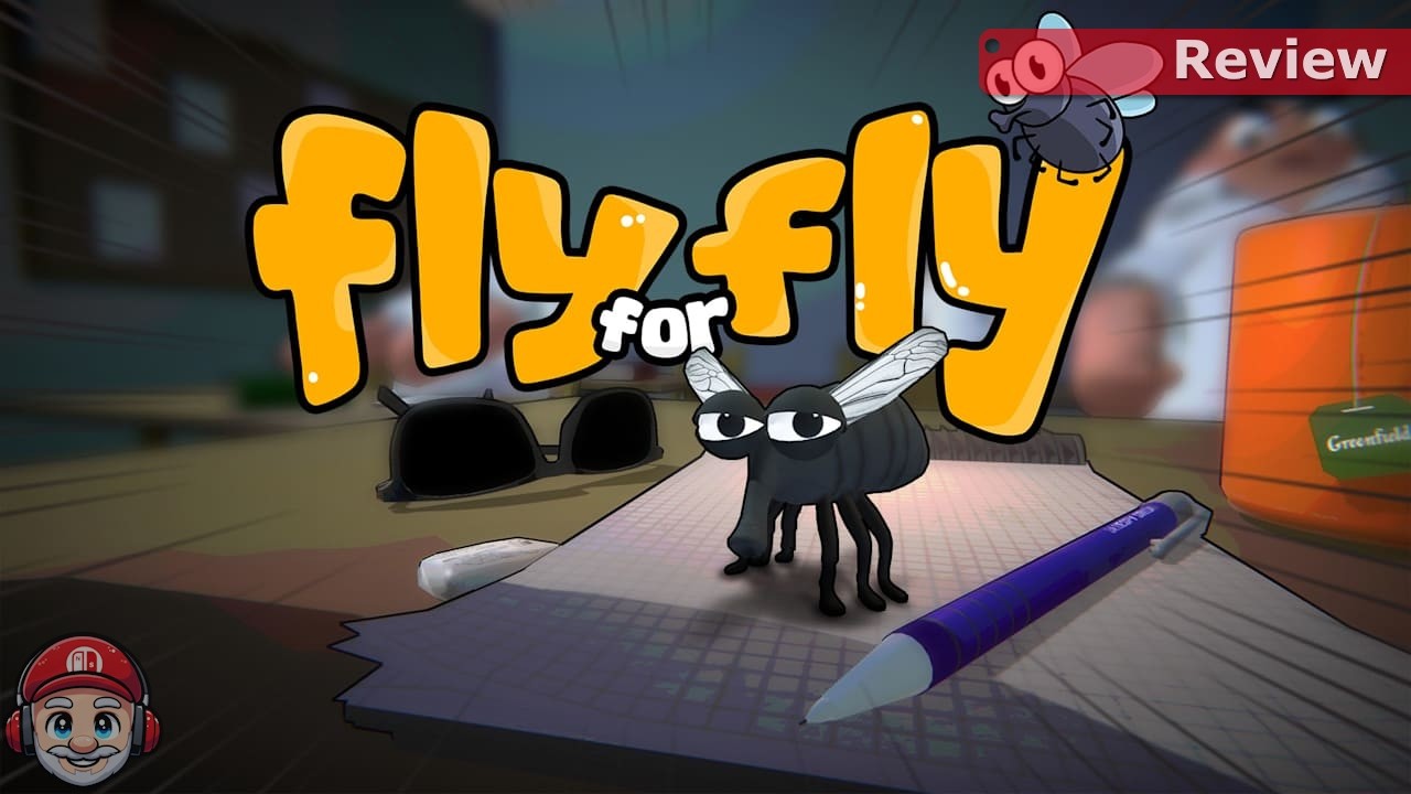 Review: Fly for Fly on Nintendo Switch 2 - YouTube