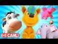 🐮 En iyi hayvan şarkıları 🐶 Çocuklar için eğlenceli öğrenme | HeyKids - Bebek Şarkıları
