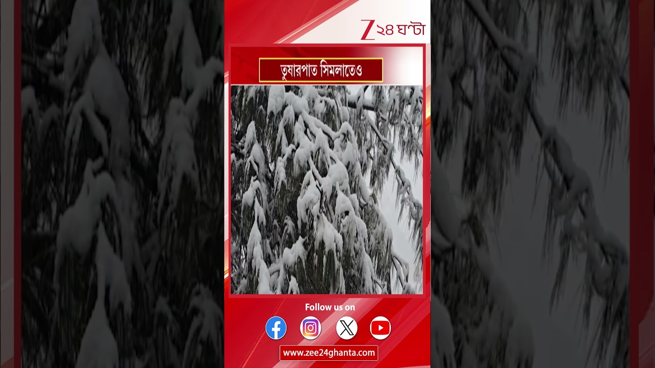 Weather Update:  সিমলা, মানালি সহ একাধিক জায়গায় তুষারপাত  | Zee 24 Ghanta