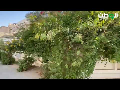 20 ألف شجرة في منصورة الأحساء