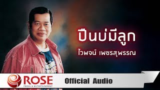 Video thumbnail of "ปืนบ่มีลูก - ไวพจน์ เพชรสุพรรณ (Official Audio)"