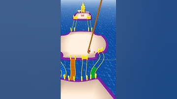 🏁 Bridge Race Game! Build, Run & Win the Challenge 🔥 #bridge #race #gameplay #gaming #viral #shorts