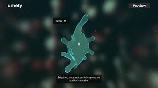 Amoeba - Preview | Umety Classroom