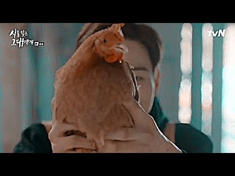 Eğlenceli Kore Klip (Sevimli Çift) ~ Acemi Balık