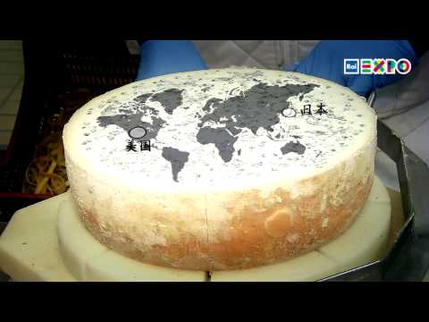 戈尔贡佐拉奶酪，意大利制造的标志