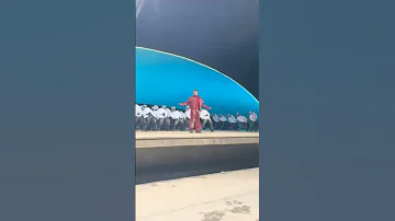 كواليس اغنية الشامي بتهون الجديدة Alshami حالات واتس اب اكسبلور اغاني الشامي دكتور دوالي 