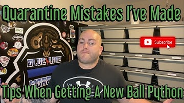 Quarantining Your New Ball Python - Tips On How To Get Your New Snake To Settle In!