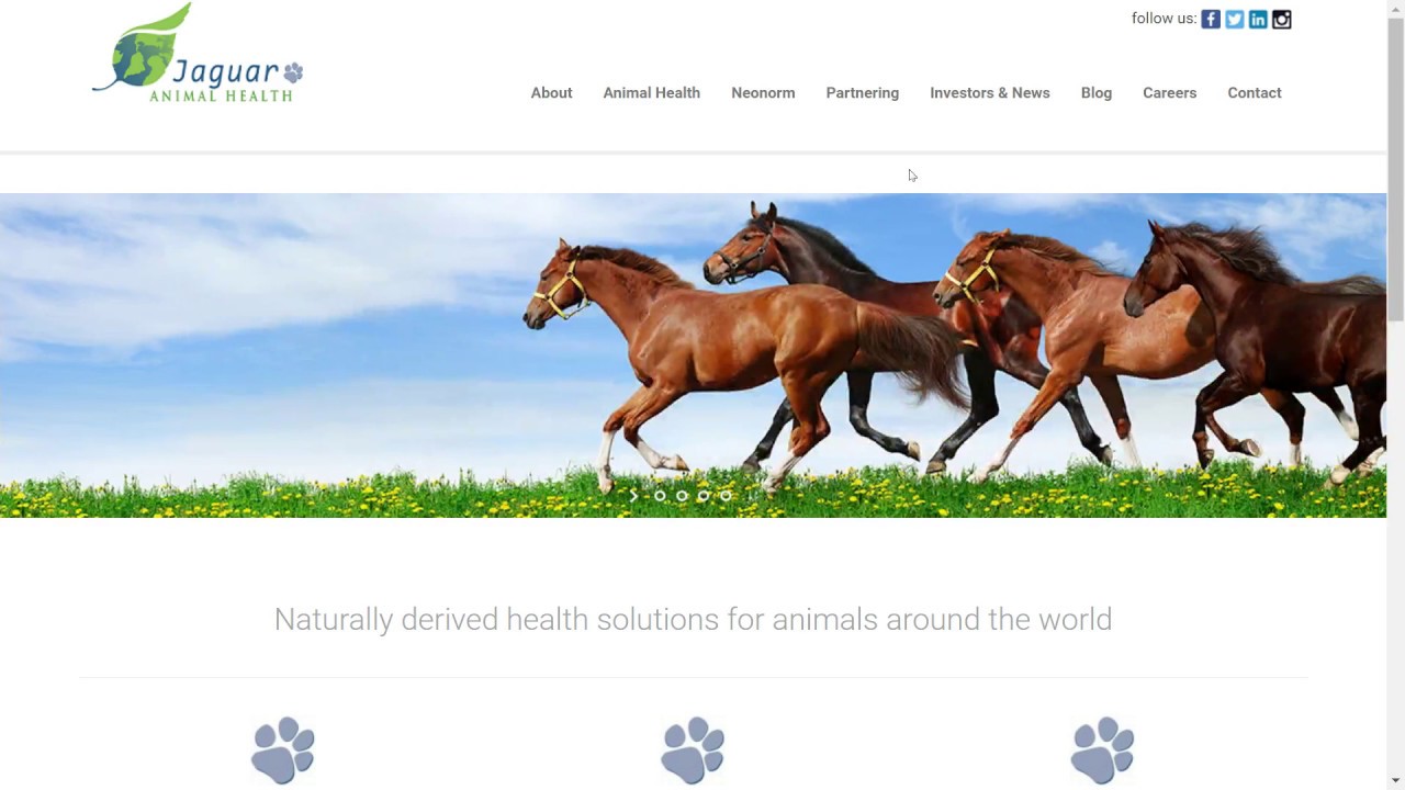 JAGX Stock News: Jaguar Animal Health Napo Pharmaceuticals merger, volatility, volume, long-term?