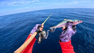 It was a Struggle But We Caught Fish! Florida Offshore Tuna and MahiMahi Fishing