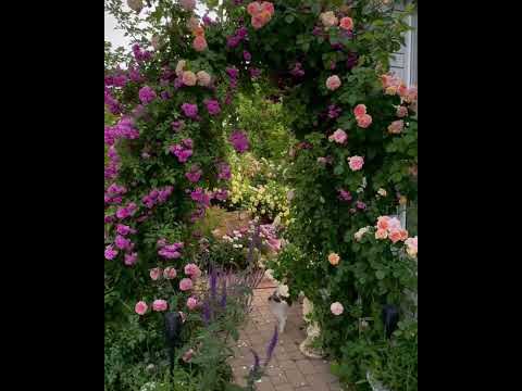 Арка садовая черная,пергола для роз,цветов 240см, видео 1