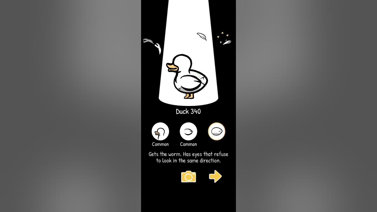 Playing Clusterduck Part 5| World's Smallest Violin Edit| #clusterduck #duck #ducks #cute #indie