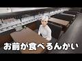ゆきちゃん先輩！？ - The Sushi House