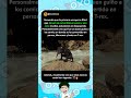 No puedo ser el único al que le guste ver a Venom como rana #curiosidades