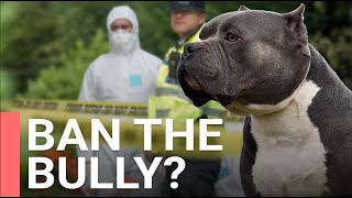 Dangerous dog deaths: Time to ban XL Bullies in the UK?