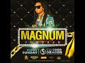 Magnum sundaze promotional audiodj magnum  selector shortboss