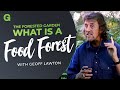 The forested garden what is a food forest