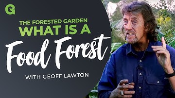 The Forested Garden: What is a Food Forest?
