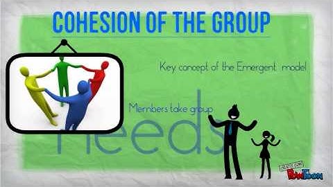 Peer Tutoring Theories of Group Dynamics part 2