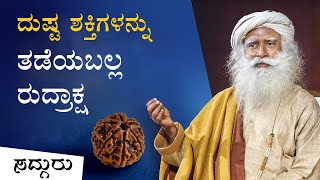 ರುದ್ರಾಕ್ಷ - ಈ ಬೀಜ ನಿಮ್ಮನ್ನು ದುಷ್ಟ ಶಕ್ತಿಗಳಿಂದ ರಕ್ಷಿಸಬಹುದು! (Rudraksha Diksha) | Sadhguru Kannada