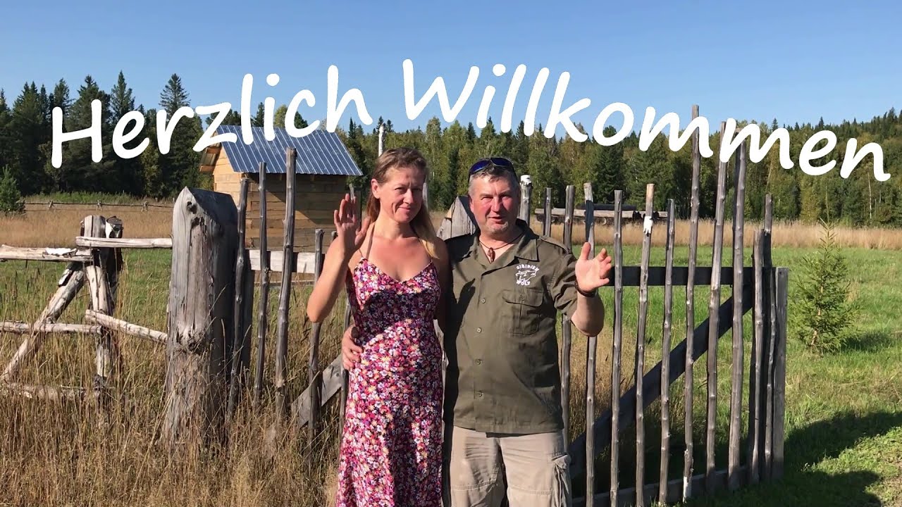 Urlaub beim Sibirienwolf