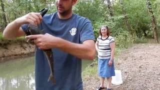 Try Fishing with Bacon