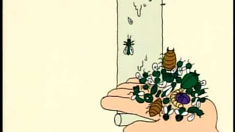 BEAVIS& BUTTHEAD_Burger World