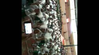 IMG 06601