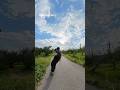 【新登場】DJI osmo360Ⅱ