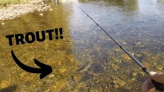 Rainbow Trout on Rebel Crankbaits (Watauga River)