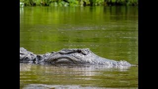 Kayaking at Juniper Springs, Florida