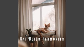 Harmonic Kitty Chillout