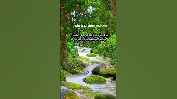 ماأجمل كلام الله في الصباح #اذكار-الصباح#صباحكم-سعاده#صباح-الخير #اكسبلور #المصحف #ايقنت #لايك