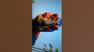 Feathered Trex Evolution￼ 2001-2022￼