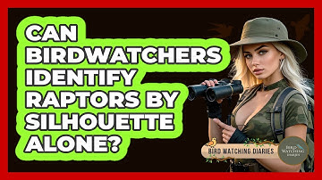 Can Birdwatchers Identify Raptors By Silhouette Alone? - Bird Watching Diaries