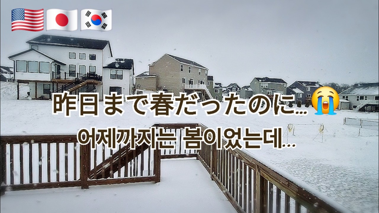 【日韓夫婦アメリカ生活🇺🇸】気まぐれな天気に振り回される日常 / 娘の誕生日 / 大福作りへ挑戦 p.184