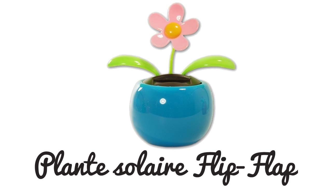 Fleur Solaire Flip Flap 