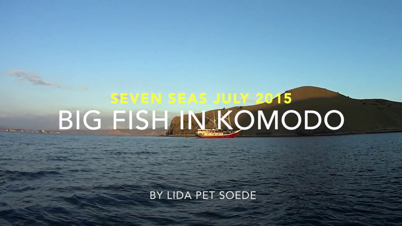 Big Fish Komodo 2015