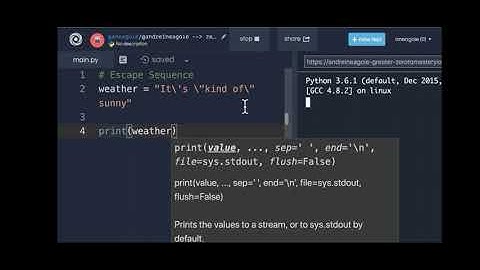How to use escape sequence for string|Python|tab space|new line|programming
