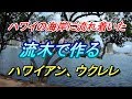 ハワイのローカルな話題、海岸から拾ってきた流木で作るハワイアンウクレレ#1