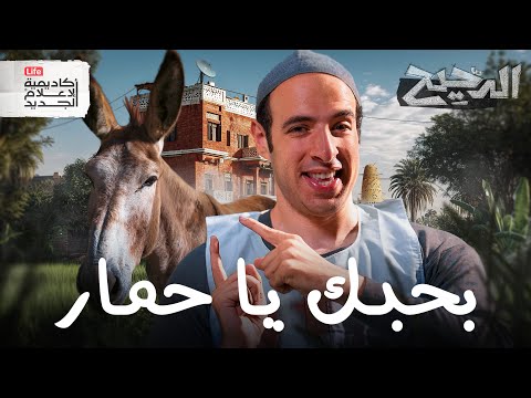 فيديو بحبك يا .... | الدحيح