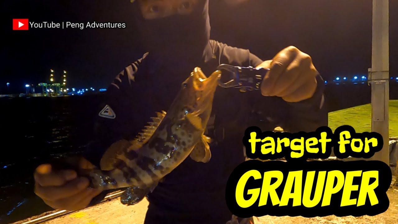 Enjoy strike at night fishing - [peng#24]