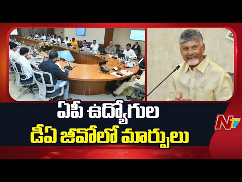Andhra Pradesh Government Makes Small Changes In DA GO of AP Employees | NTV Telugu - NTVTELUGU