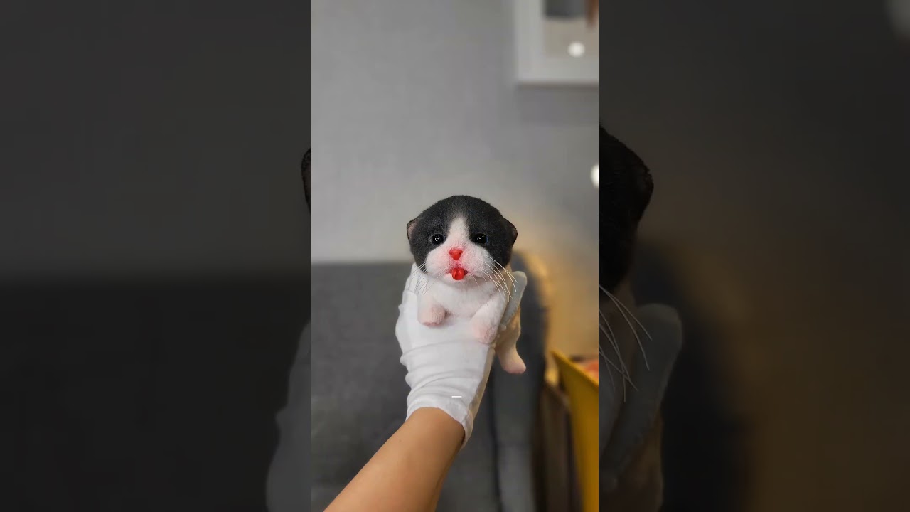 Почему он??????? Авторская игрушка стиль дизайн сумка дизайнер интерьер коллекционная кукла котенок