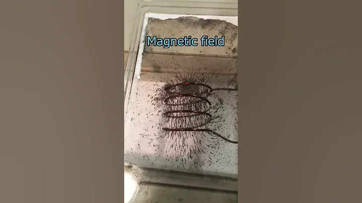 Magnetic field -Dear Rookie of the Coil-