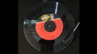 Daddy Cool: The Rays (1957 | Pop Rock)